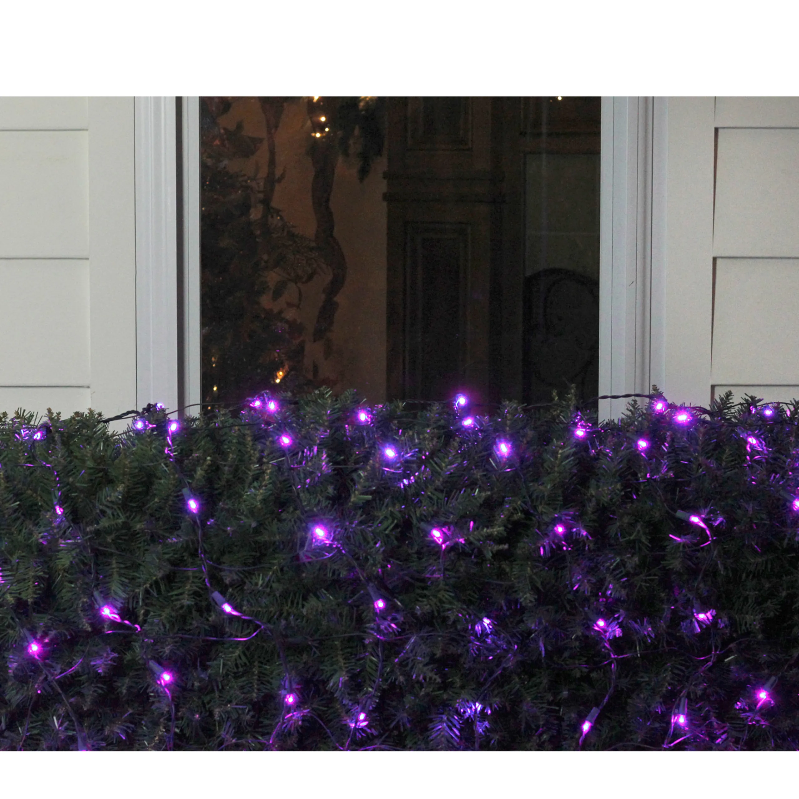 Northlight 4' X 6' Purple Led Wide Angle Net Style Christmas Lights - Green Wire