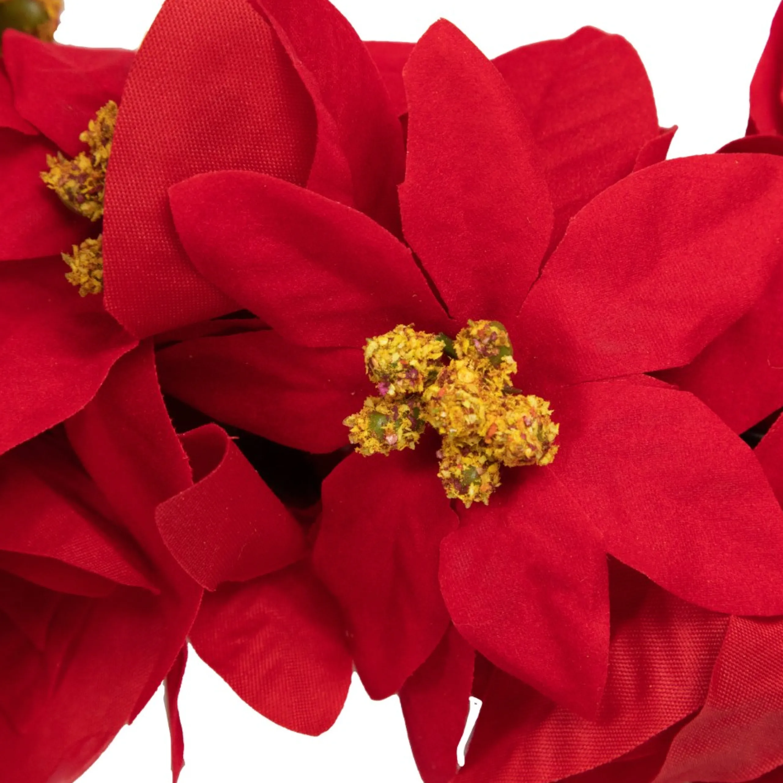 Unlit Garland*Northlight 6' X 3" Red Artificial Poinsettia Floral Christmas Garland - Unlit