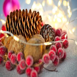 Hofert 4' X 8' Warm White Led Multi-Function Curtain Christmas Lights - White Wire