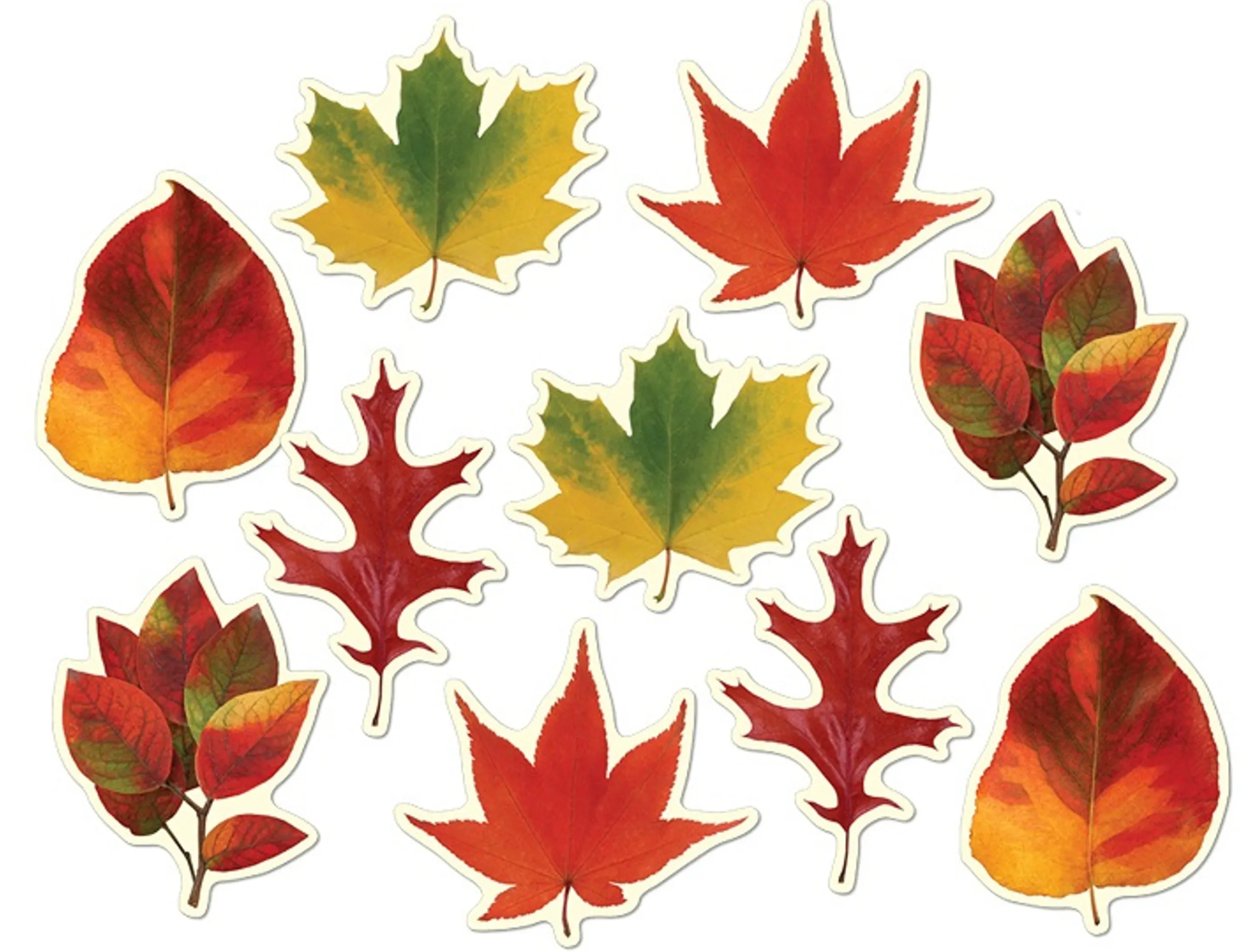 Beistle Club Pack Of 240 Colorful Fall Thanksgiving Mini Leaf Cutout Decorations 4.75"