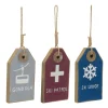 Melrose Sports & Games>Club Pack Of 12 Ski Tag Christmas Ornaments 11"