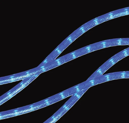 Hofert 215-Count Blue Christmas Rope Light Set, 18Ft