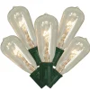 Vickerman 10-Count Clear And Green Transparent St40 Edison Style Patio Lights, 9 Ft Green Wire