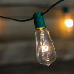 Vickerman 10-Count Clear And Green Transparent St40 Edison Style Patio Lights, 9 Ft Green Wire
