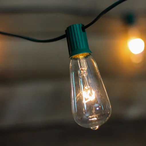 Vickerman 10-Count Clear And Green Transparent St40 Edison Style Patio Lights, 9 Ft Green Wire