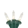 Northlight 20-Count Clear Mini Christmas Light Set, 4Ft Green Wire