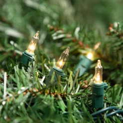 Northlight 20-Count Clear Mini Christmas Light Set, 4Ft Green Wire