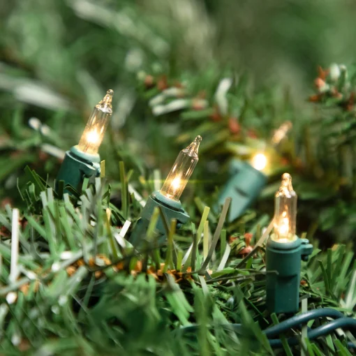Northlight 20-Count Clear Mini Christmas Light Set, 4Ft Green Wire