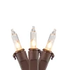 Northlight 20-Count Clear Mini Christmas Light Set, 4Ft Brown Wire
