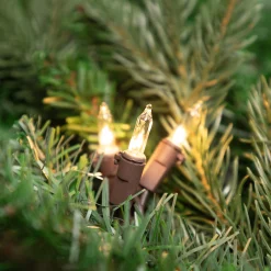 Northlight 20-Count Clear Mini Christmas Light Set, 4Ft Brown Wire