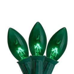 Northlight 25-Count Green Transparent C9 Christmas Light Set, 25Ft Green Wire