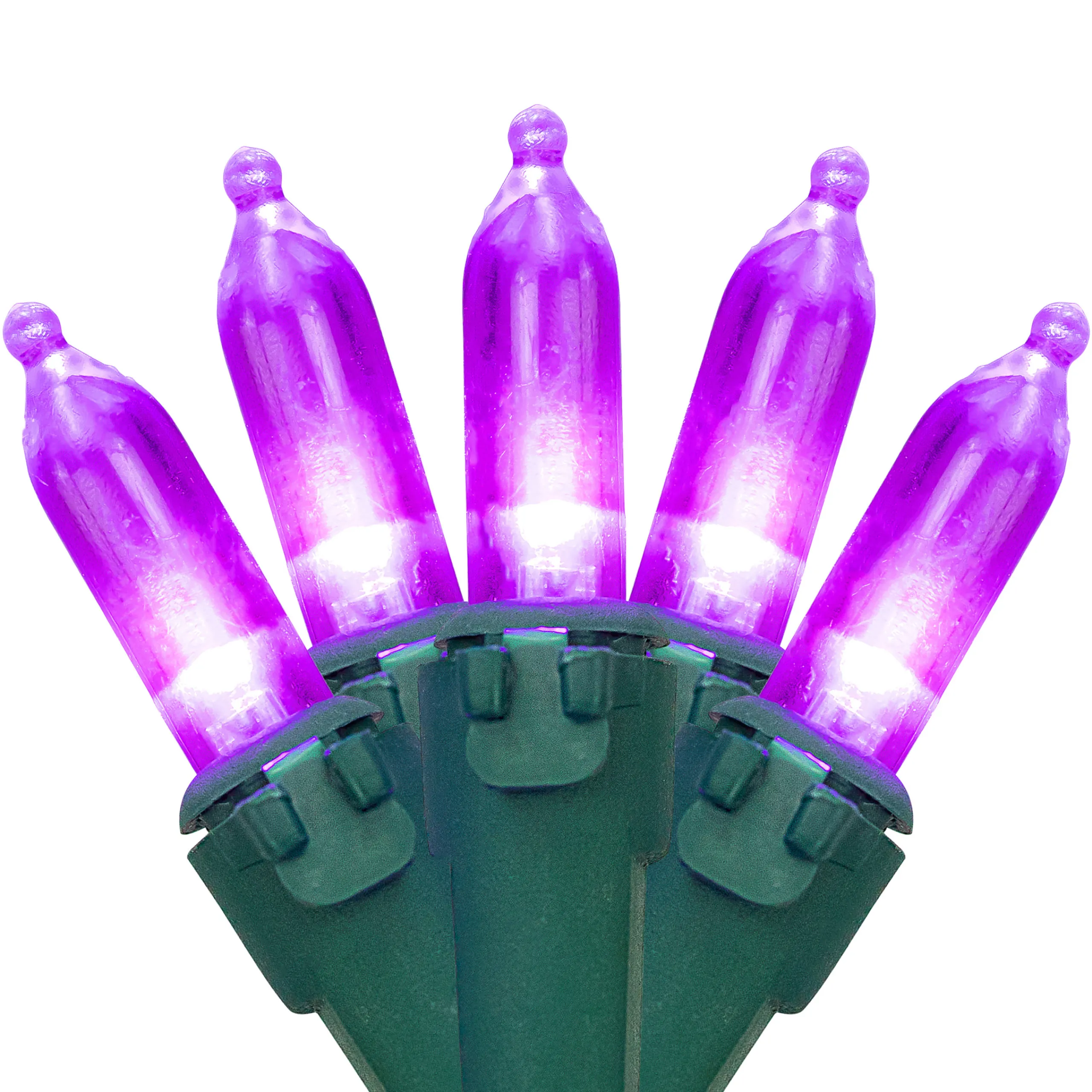 Northlight 100-Count Purple Led Mini Christmas Lights, 33Ft Green Wire