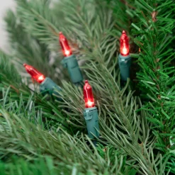 Northlight 100-Count Red Led Mini Christmas Lights - 33 Ft Green Wire