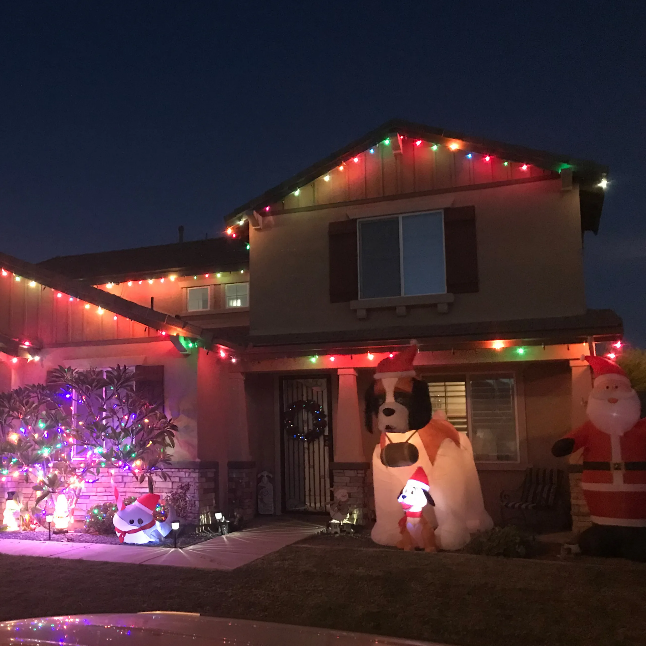 Northlight 25-Count Transparent Multi-Color C9 Twinkle Christmas Light Set, 24Ft Green Wire