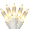 Northlight 100-Count Warm White Led Mini Christmas Lights - 33Ft, White Wire