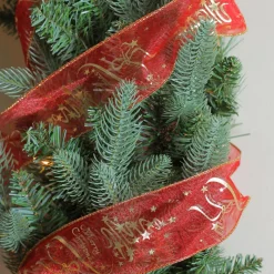 Ribbon*Northlight Cranberry Red And Gold 