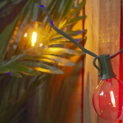 Northlight 10Ct Multi Color Led G50 Globe Patio Lights, 10Ft Green Wire