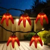 Northlight 36Ct Orange Chili Pepper Clusters String Light Set, 7.5Ft Brown Wire