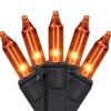 Northlight 100Ct Orange Mini Christmas Lights, 20.25Ft Black Wire