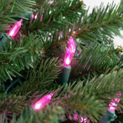 Northlight 100Ct Pink Led Mini Christmas Lights, 33Ft Green Wire