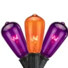 Northlight 10Ct Purple And Orange Edison E17 Halloween Light Set, 9Ft Black Wire