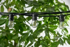 Hi-Line Gifts 11Ct Warm White String Light Set, 21Ft Black Wire