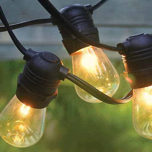 Hi-Line Gifts 11Ct Warm White String Light Set, 21Ft Black Wire
