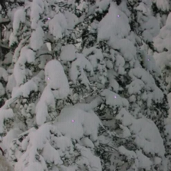 Wall & Door Decorations*Northlight Fiber Optic Lighted Santa In His Sleigh Canvas Wall Art 15.75