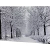 Wall & Door Decorations*Northlight Fiber Optic Lighted Winter Lane Snowfall Christmas Canvas Wall Art 23.5" X 15.75"