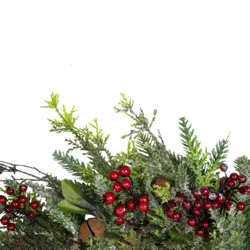 Specialty Wreaths*Northlight Frosted Pine And Berry Artificial Christmas Wreath, 25-Inch, Unlit