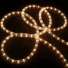 Northlight 100Ft Clear Incandescent Outdoor Christmas Rope Lights