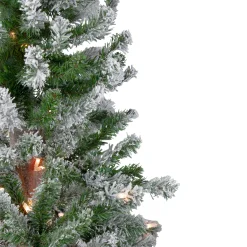 Northlight 4 And 4.5 Feet Tall></noscript>4Ft Pre-Lit Flocked Alpine Artificial Christmas Tree, Clear Lights