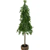 Northlight 2.5 Feet Tall And Smaller>25.5-Inch Downswept Iced Artificial Christmas Tree Wood Base - Unlit