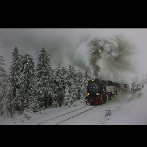 Wall & Door Decorations*Northlight Large Fiber Optic And Led Lighted Winter Woods With Train Canvas Wall Art 23.5" X 15.5"