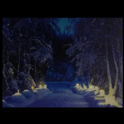 Wall & Door Decorations*Northlight Led Lighted Nighttime In The Woods Winter Scene Canvas Wall Art 15.75