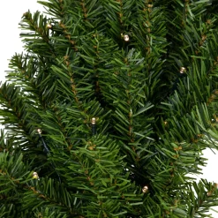 Pre-Lit Wreaths*Northlight Pre-Lit Canadian Pine Artificial Christmas Wreath, 30-Inch, Clear Lights