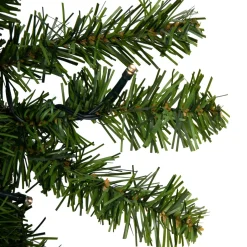 Pre-Lit Wreaths*Northlight Pre-Lit Canadian Pine Artificial Christmas Double Wreath, 36-Inch, Clear Led Lights