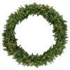Pre-Lit Wreaths*Northlight Pre-Lit Dakota Red Pine Commercial Artificial Christmas Wreath - 60-Inch, Warm White Led Lights