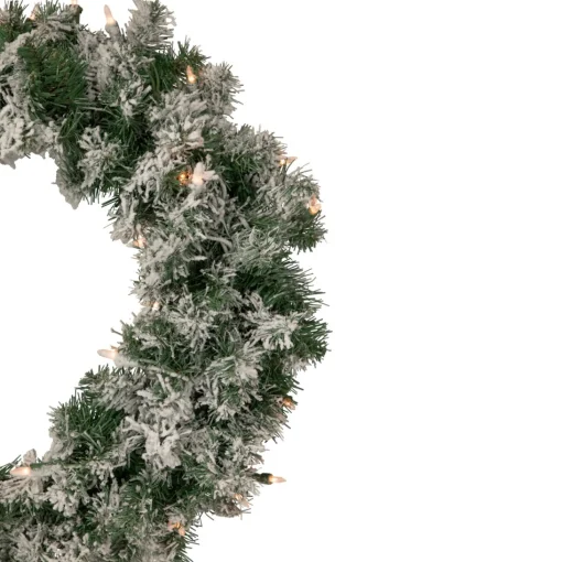 Pre-Lit Wreaths*Northlight Pre-Lit Flocked Victoria Pine Artificial Christmas Wreath - 24-Inch, Clear Lights