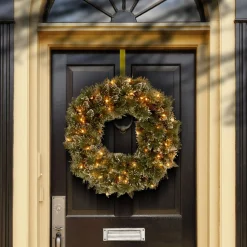 Frosted, Flocked, Iced Wreaths*National Tree Company Pre-Lit Frosted Bristle Pine Artificial Christmas Wreath, 24-Inch, White Lights