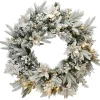 Frosted, Flocked, Iced Wreaths*National Tree Company Pre-Lit Frosted Colonial Fir Artificial Christmas Wreath, 24-Inch, Warm White Led Lights