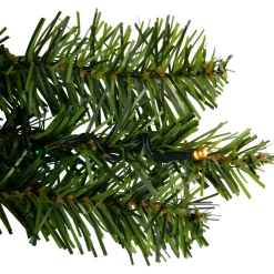 Pre-Lit Wreaths*Northlight Pre-Lit Led Canadian Pine Artificial Christmas Wreath, 30-Inch, Multicolor Lights