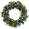 Frosted, Flocked, Iced Wreaths*Northlight Pre-Lit Snow Valley Pine Artificial Christmas Wreath, 24-Inch, Clear Lights