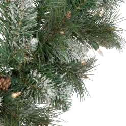 Frosted, Flocked, Iced Wreaths*Northlight Pre-Lit Snow Valley Pine Artificial Christmas Wreath, 24-Inch, Clear Lights