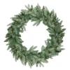 Pre-Lit Wreaths*Northlight Pre-Lit Washington Frasier Fir Artificial Christmas Wreath - 24-Inch, Clear Lights