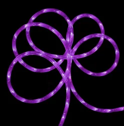 Northlight Purple Commercial Grade Led Outdoor Christmas Rope Lights On A Spool - 24 Ft
