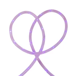 Northlight Purple Commercial Grade Led Outdoor Christmas Rope Lights On A Spool - 24 Ft