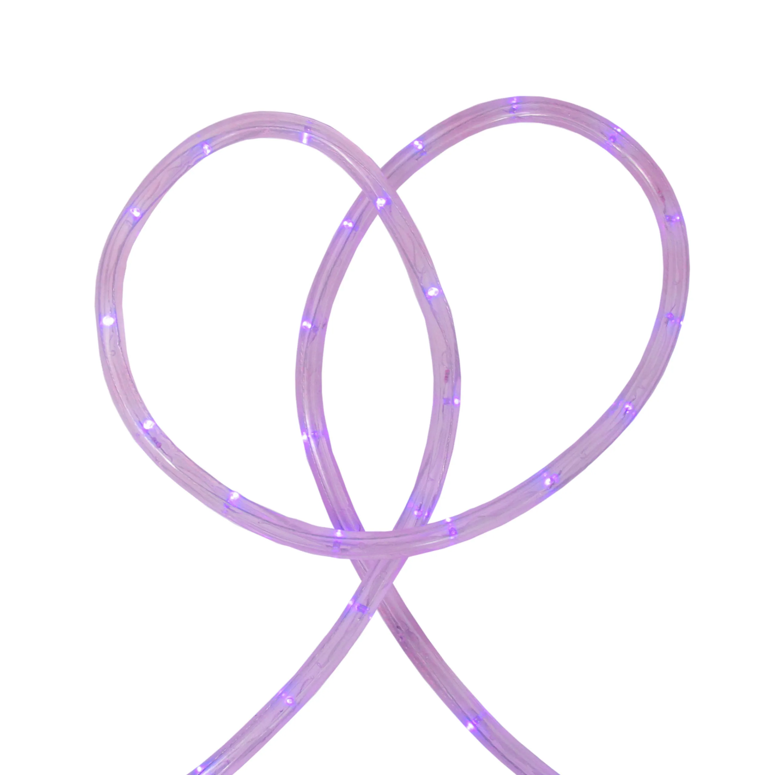 Northlight Purple Commercial Grade Led Outdoor Christmas Rope Lights On A Spool - 24 Ft