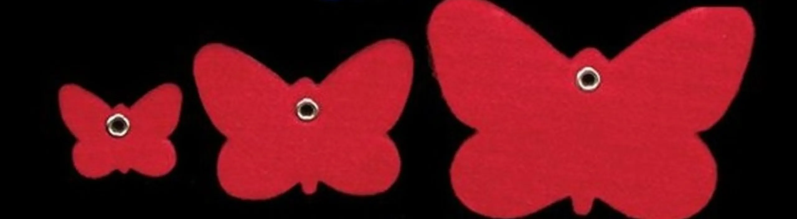 Bows*The Ribbon People Red Colored Felt Butterflies Christmas Special Assortment 8"