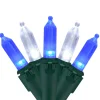 Northlight Set Of 100 Blue & Pure White Led Mini Christmas Lights 4" Spacing - Green Wire